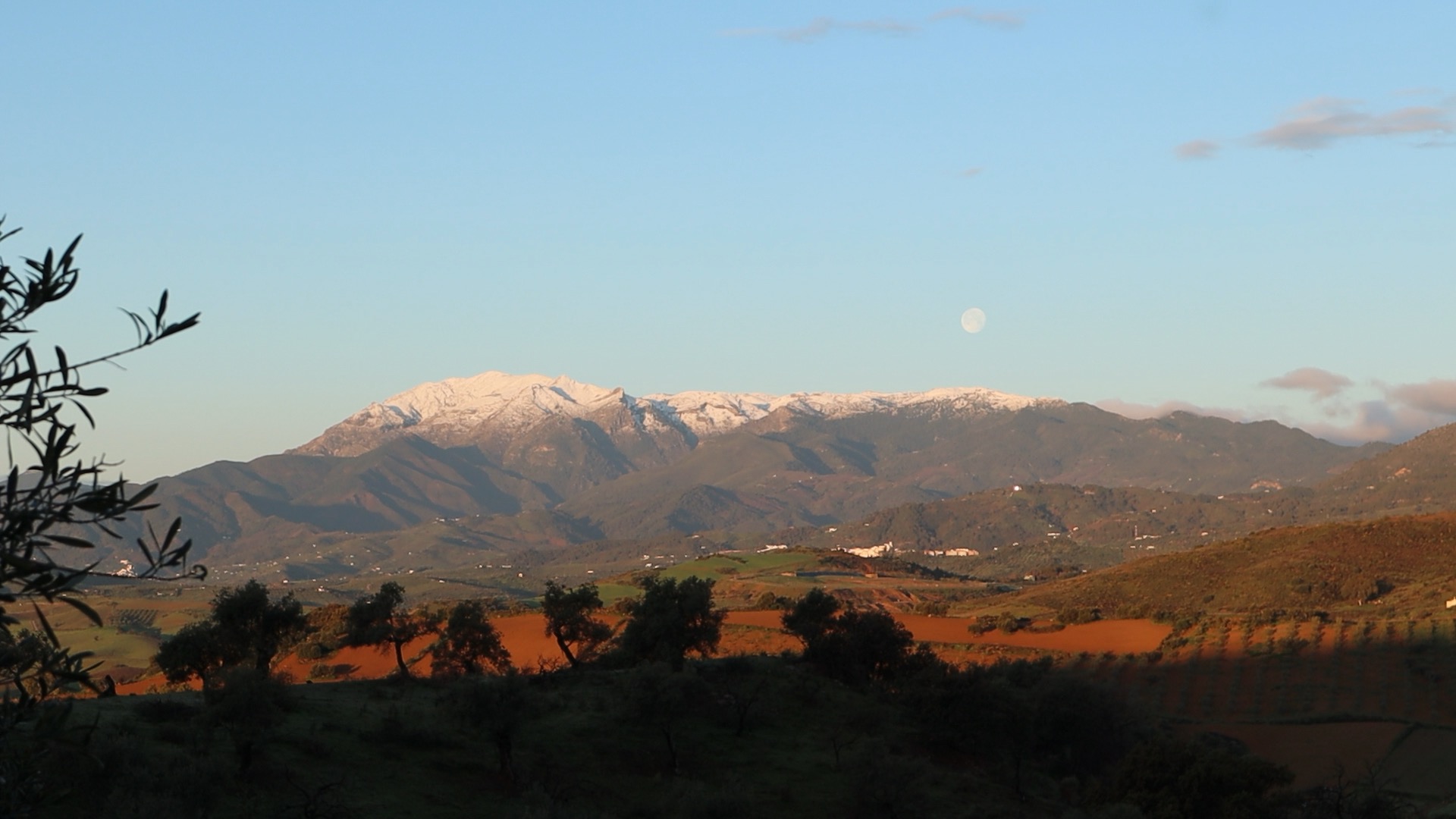 Snow-capped mountains and a rising moon above the Málaga valley at golden hour