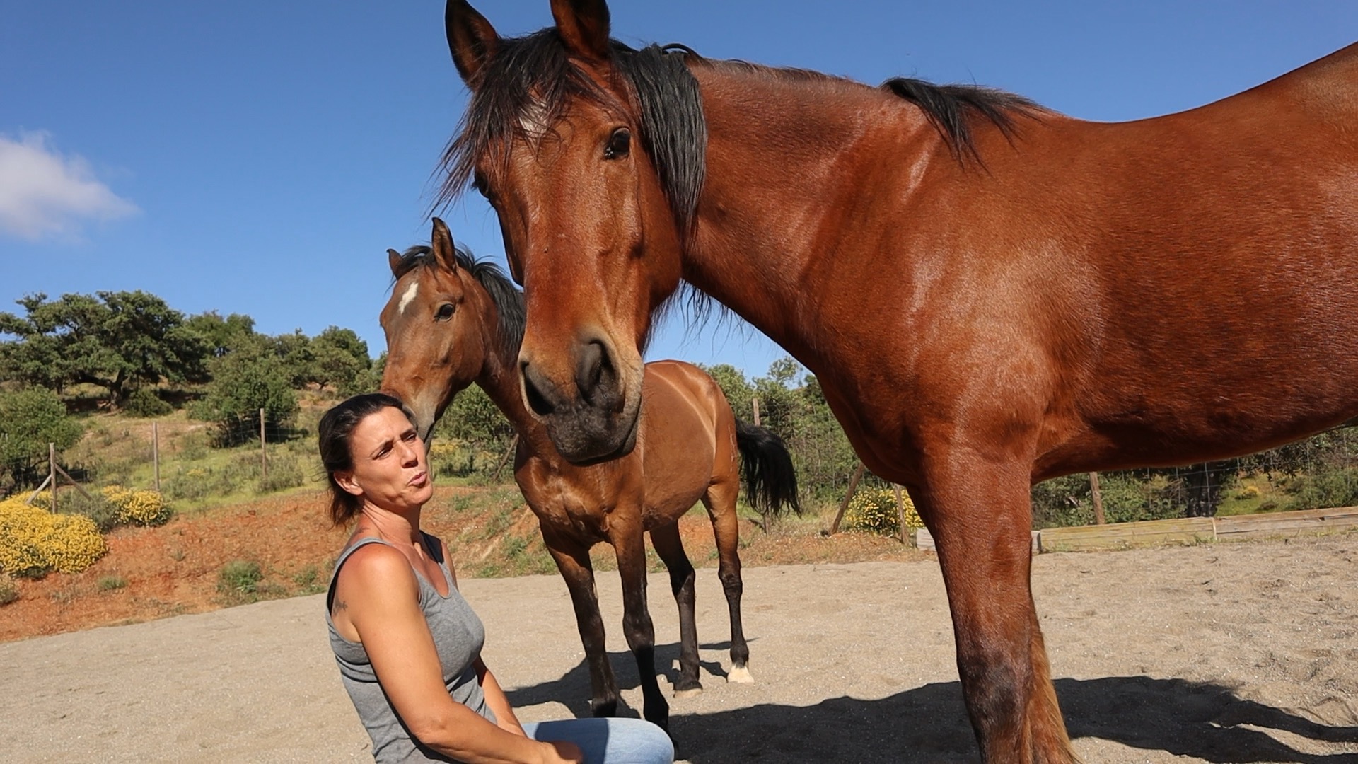 Verena with the horses on the ridge